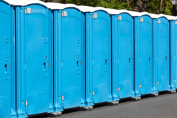 Types of Portable Toilets We Offer in Piney Mountain, VA